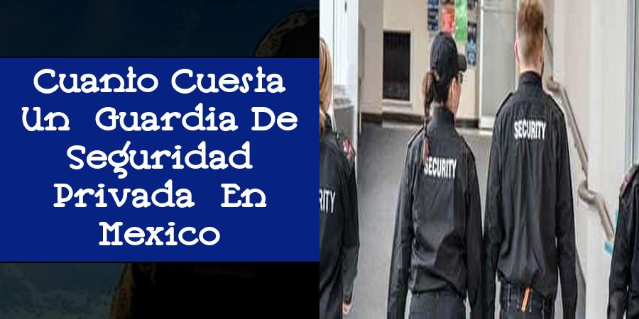 Cuanto Cuesta Un Guardia De Seguridad Privada En Mexico