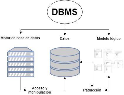 Componentes de la gestión de datos