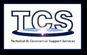 ¿Qué servicios ofrece TCS?